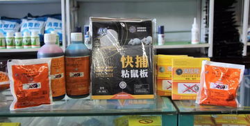 维洁消毒用品经营部给全市人民拜年啦 专业消毒服务守护万家安康